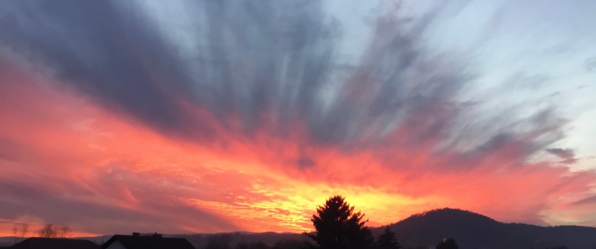 Ausgefuchstes  Unterbewusstsein